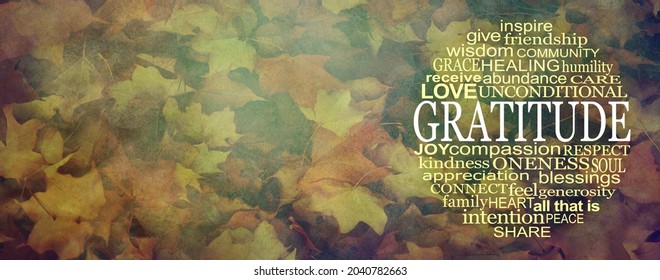 Words Of Gratitude Thanksgiving Circular Message Banner - An Autumnal Multicoloured Wide Rustic Grunge Leaf Background With GRATITUDE Word Cloud On Right And Copy Space On Left 
