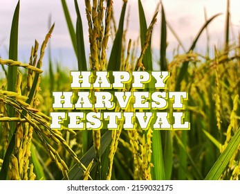 The Words Happy Harvest Festival, With Blurred Backgrounds, Festival Concept.