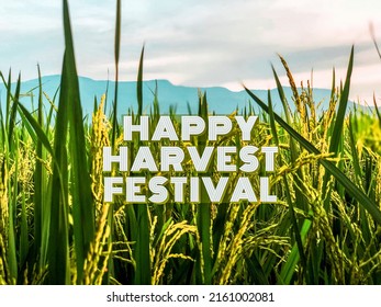 The words Happy Harvest Festival, with blurred backgrounds, festival concept, out of focus, noise and grain effects.