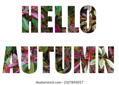 Words Hello Autumn from