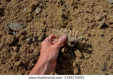 the work of an archaeologist on the excavation of a Neolithic settlement. a man holds the bones of a prehistoric horse in his hand. teeth and jaw in palm. inhabited by prehistoric hunters