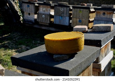 Work Of A Beekeeper Melting Old Dark Wax Combs Full Of Diseases In A Stainless Steel Steam Boiler. Big Cake Of Wax On Apiary Shows Beekeeper. It Has Several Kilos For Sale, Price Of Beeswax Is Rising