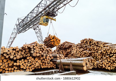 The work of a cantilever gantry crane for loading logs in a woodworking industry - Shutterstock ID 1880612902