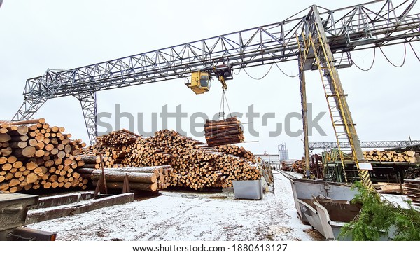 The work of a cantilever gantry crane for\
loading logs in a woodworking\
industry
