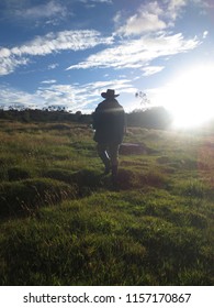 work in the field