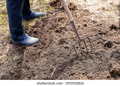 Work Gardendigging Spring Soil Spading Fork Stock Photo 1955932816 ...