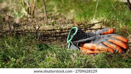Work gloves are lying in the garden