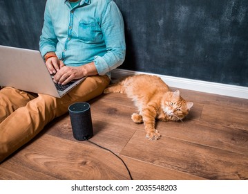 Work from home with funny lazy red cat pet. Man sitting on laminate wooden floor with laptop computer and smart speaker alexa. Ginger pet cat lying. Home office. Remote work