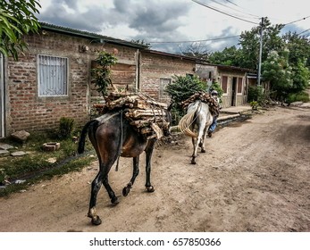 324 Horse carrying wood Images, Stock Photos & Vectors | Shutterstock