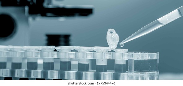 Workbench Blood Bank Laboratory Microscope Tubes Stock Photo 1975344476 ...