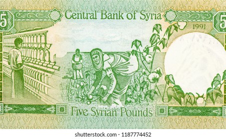 Worker Behind Spinning Frame. Women Picking Cotton Harvest.Portrait From Syria 5 Syrian Pounds 1977-1991 Banknotes. 
