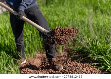 Worker carries expanded clay aggregate with a shovel on grassy outdoor site during landscaping, drainage, or planting preparation.