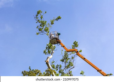 A Worker With A Chainsaw Trimming The Tree Branches On The High Hydraulic Mobile Platform