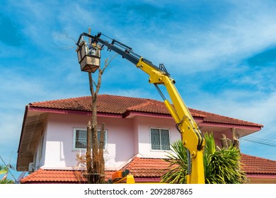 Worker With Chainsaw In Truck Tower Basket Cutting Branches. Tree Surgeon In Lifting Bucket Using Saw To Cut Branches Down. Arborist Remove Tree Branches On Height. Pruning Trees.