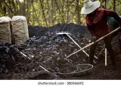 Worker At Charcoal Kiln