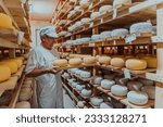 A worker at a cheese factory sorting freshly processed cheese on drying shelves