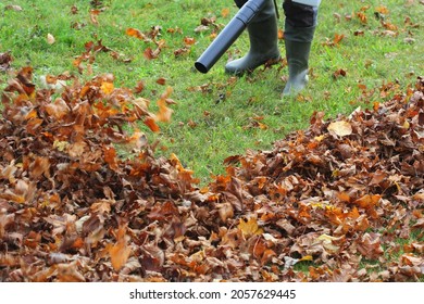 Worker cleaning falling leaves in autumn park. Man using leaf blower for cleaning autumn leaves. Autumn season. Park cleaning service.