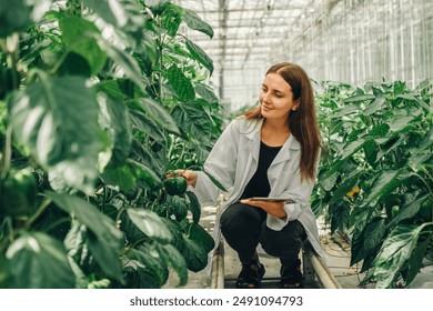 Worker collects data on tablet about growth of vegetables in greenhouse. Young woman biologist examines, touches stem of bell pepper plant in greenhouse. Portrait of biologist botanist at work - Powered by Shutterstock