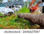 Worker cuts down fallen tree with chainsaw in suburban neighborhood after storm