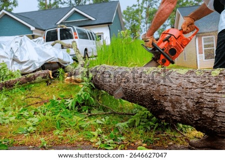 Worker cuts down fallen tree with chainsaw in suburban neighborhood after storm