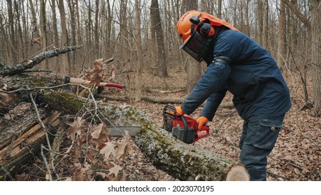 Worker cuts a felled tree trunk with a chainsaw. A felled tree trunk is sawn by a lumberjack, slow-motion shot. Deforestation, forest cutting concept - Powered by Shutterstock