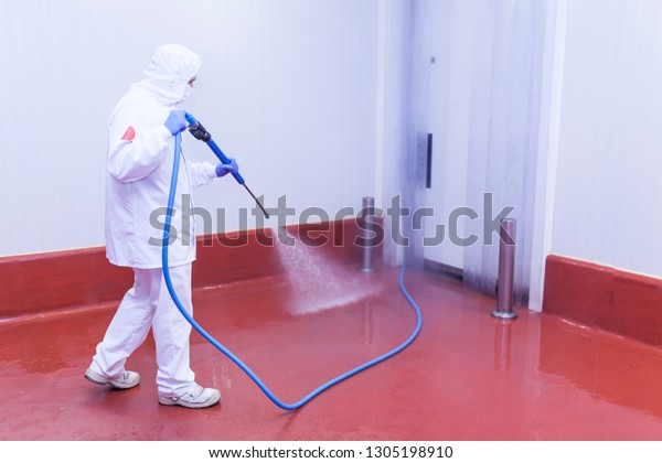 worker of the\
cutting room washing the cold room with water pressure equipment\
and dressed in hygienic\
clothing