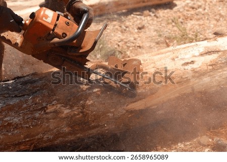 a worker debarking tree trunk using portable debarker