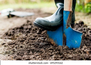 Worker Digs The Black Soil With Shovel  In The Vegetable Garden, Man Loosens Dirt In The Farmland, Agriculture And Tough Work Concept