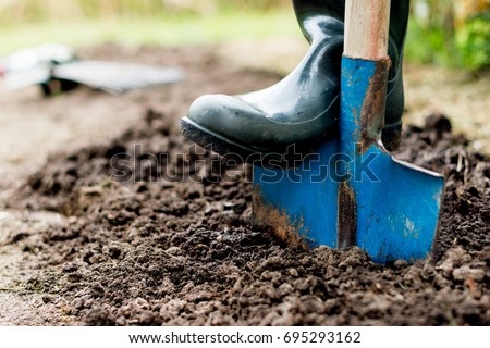 Worker digs the black soil with shovel  in the vegetable garden, man loosens dirt in the farmland, agriculture and tough work concept