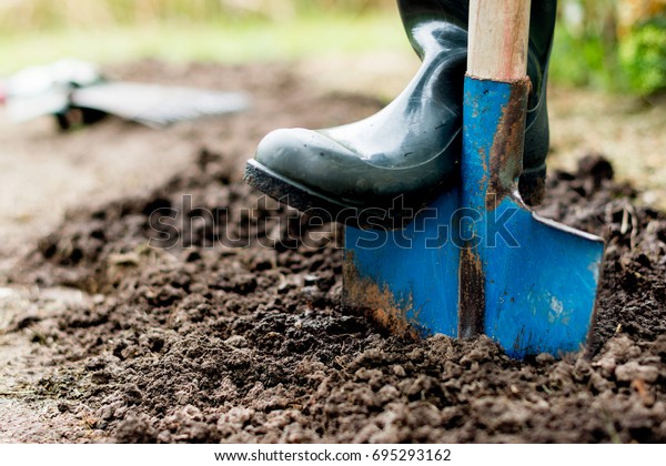 Worker digs the black soil with shovel  in the\
vegetable garden, man loosens dirt in the farmland, agriculture and\
tough work concept