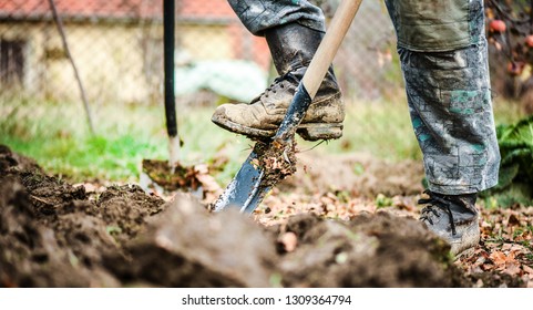 Worker Digs Soil With Shovel In Colorfull Garden, Workers Loosen Black Dirt At Farm, Agriculture Concept Autumn Detail. Man Boot Or Shoe On Spade Prepare For Digging.

