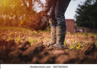 Worker Digs Soil With Shovel In Colorfull Garden, Workers Loosen Black Dirt At Farm, Agriculture Concept Autumn Detail. Man Boot Or Shoe On Spade Prepare For Digging.