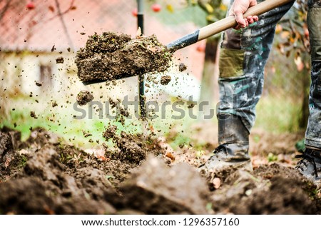 Worker digs soil with shovel in colorfull garden, workers loosen black dirt at farm, agriculture concept autumn detail. Man boot or shoe on spade prepare for digging.

