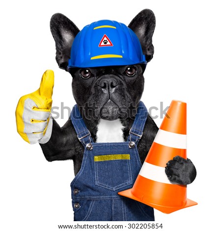 worker  dog with helmet  with thumb up  ,work in progress, traffic cone in arm , isolated on white background