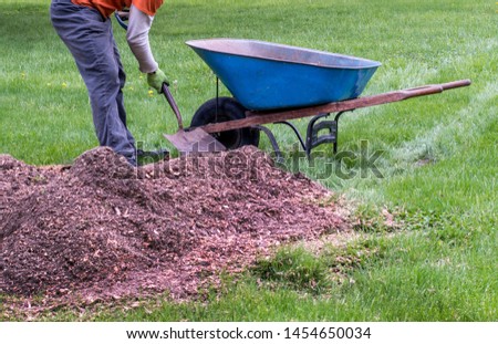 A worker fills a wheel barrow up with a pile of fluffy mulch