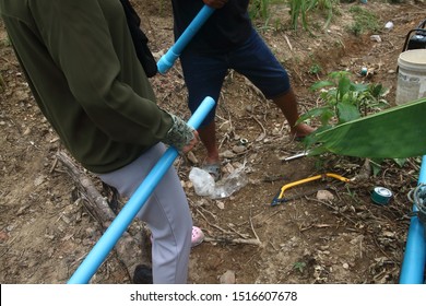 Fotos Imagenes Y Otros Productos Fotograficos De Stock Sobre