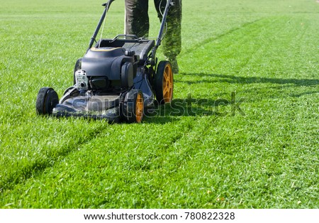 Worker guy shake pour grass from lawn mower bag into wheelbarrow. Garden meadow lawn cutting. Summer works in garden. Static shot.