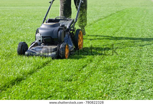 Worker guy shake pour grass from lawn mower bag\
into wheelbarrow. Garden meadow lawn cutting. Summer works in\
garden. Static shot.