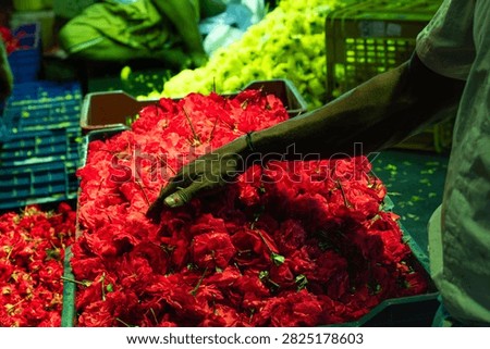 Worker Hand Sorting Loose Red Roses Under Colorful Wholesale Market Lights