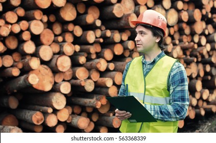 Worker In Helmet Counts Wood Lumber