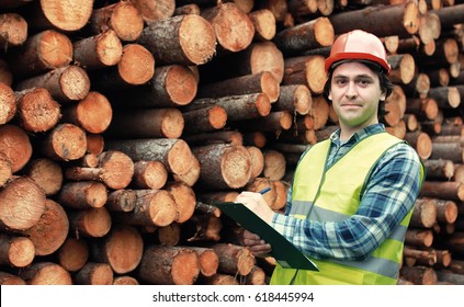 Worker in helmet counts wood lumber - Powered by Shutterstock