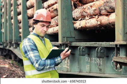 Worker In Helmet Counts Wood Lumber