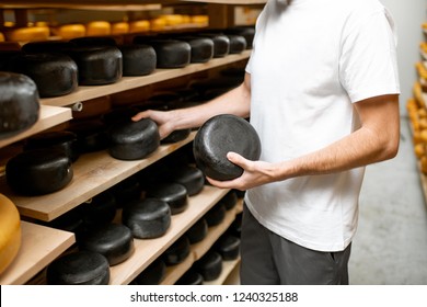 Worker Holding Cheese Wheel Covered With Black Wax At The Storage With Shelves Full Of Cheese During The Aging Process