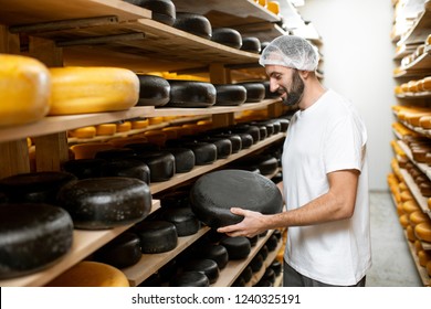 Worker Holding Cheese Wheel Covered With Black Wax At The Storage With Shelves Full Of Cheese During The Aging Process