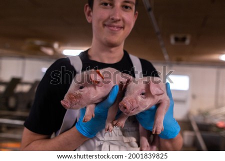 worker holding a pig on a pig farm
