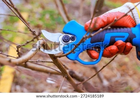 Worker holds pruning shears to cut branches on shrub in garden on clear day.