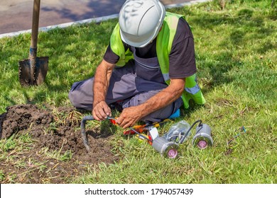 Worker Installing Outdoor Ground Spots Lights At Bottom Of Tree, Low Voltage Landscape Lighting - Tree Lighting.