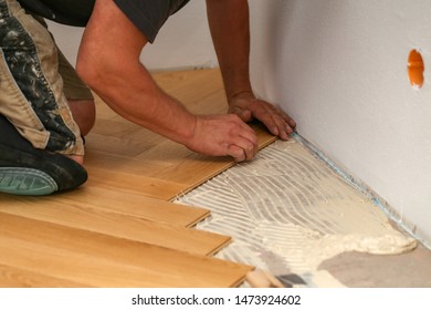 Installing Wood Floor Images Stock Photos Vectors