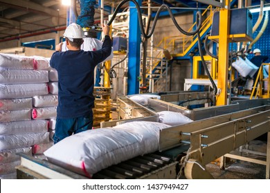 Worker Loading Rows Or Stacks Of White Sack Bags At Large Warehouse In Modern Factory. Packaging In Factory Or Warehouse