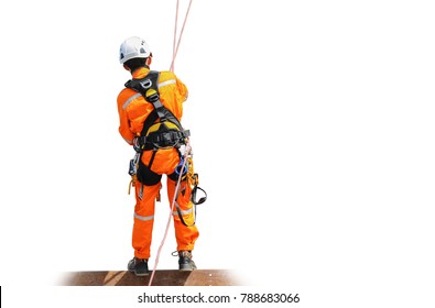 Worker Man Wear Safety Harness Copy Space On White Background